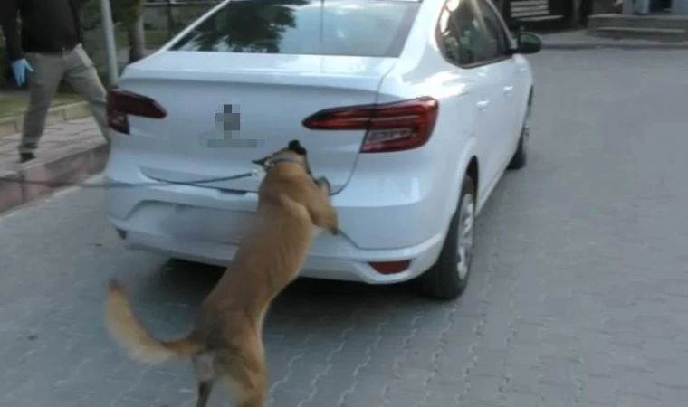 Bolu’da zehir tacirlerine geçit yok: 12 gözaltı