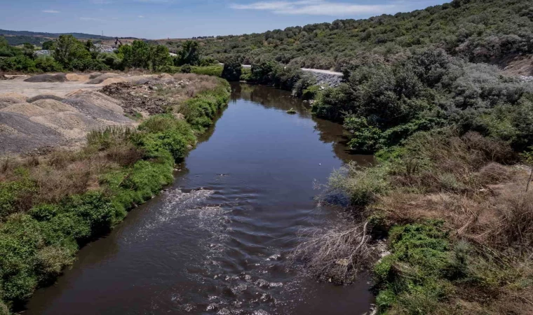 Bursa Büyükşehir kararlı; Nilüfer Çayı temiz akacak müsilaj etkisi azaltılacak