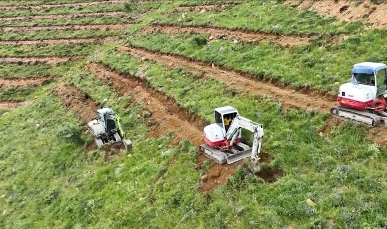 Çamardı’da 227 hektarlık alanda ağaçlandırma yapıldı