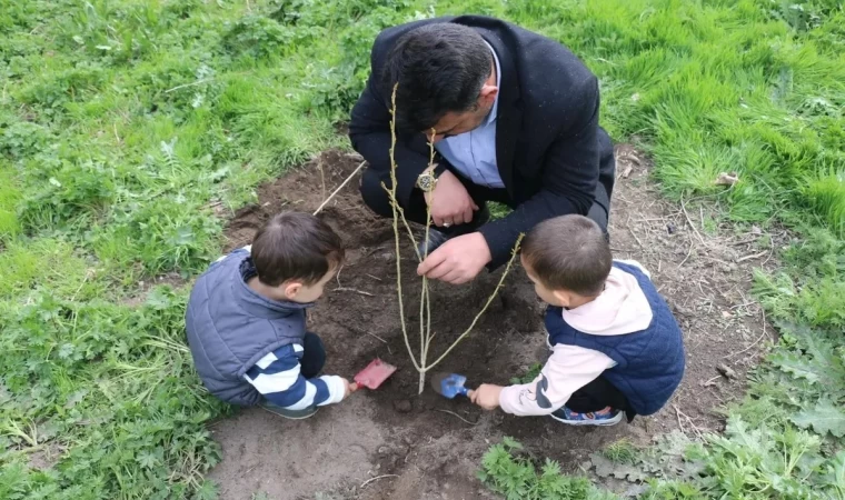Camii bahçesi fidanlarla şenlendi
