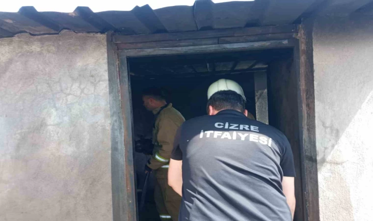 Cizre’de odunlukta çıkan yangın paniğe neden oldu