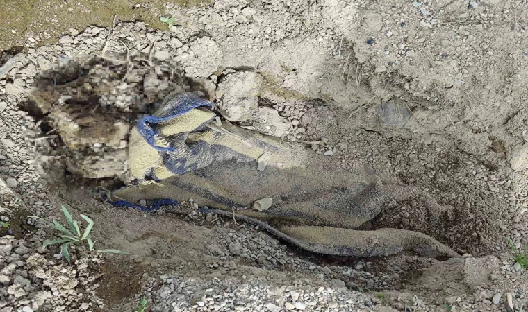 Çoban, boş arazide battaniyeye sarılarak gömülmüş erkek cesedi buldu