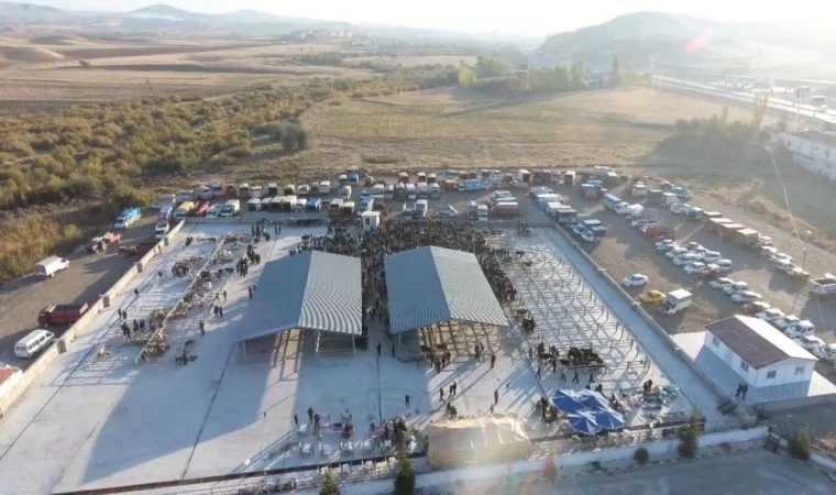 Çorum’da şap hastalığı tespit edilen köy karantinaya alındı, hayvan pazarı kapatıldı