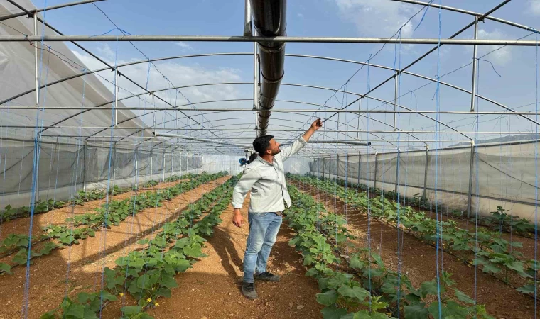 Derecik’te şiddetli fırtına: Seralarda maddi hasar oluştu