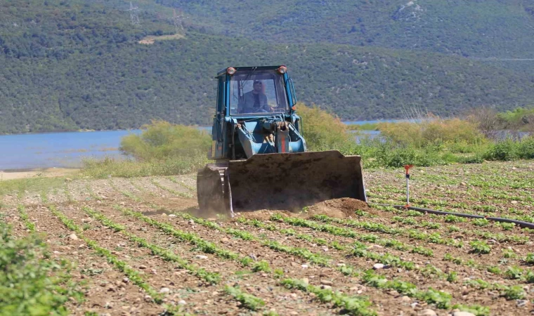 Devlet çiftçiye ”ekin” diyor, DSİ ekili alanları düzlüyor