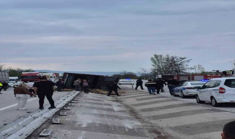 Devrilen kamyonda 53 koyun telef oldu