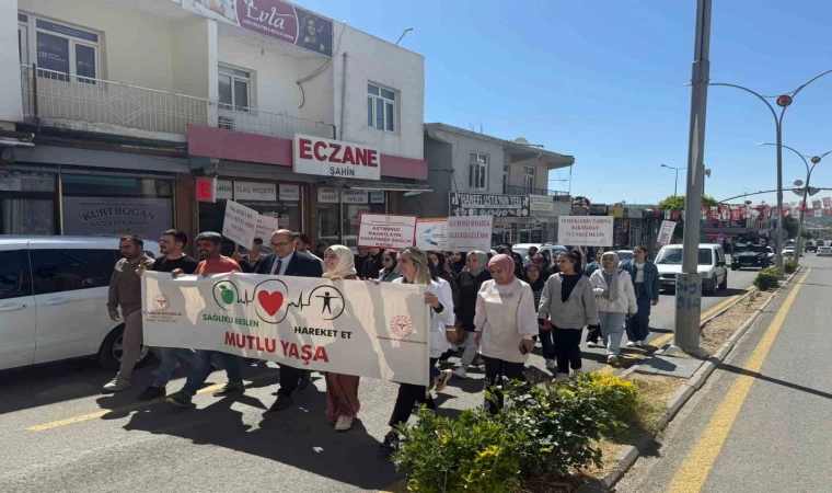 Dicle’de ’Sağlıklı Yaşam Yürüyüşü’ düzenlendi