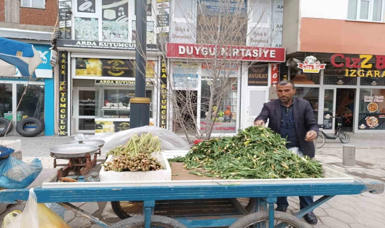 Diyadin’de baharın müjdecisi ışkın ve çiriş tezgahları süslüyor