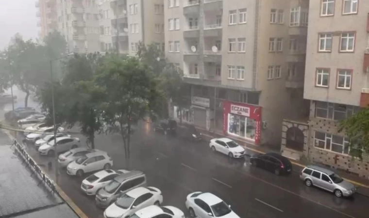 Diyarbakır’da sağanak etkili oldu, lüks otomobil devrilen ağacın altında kaldı