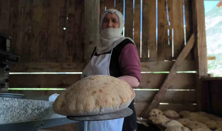 Doğallığın tadı Tortum Şelalesi’nde