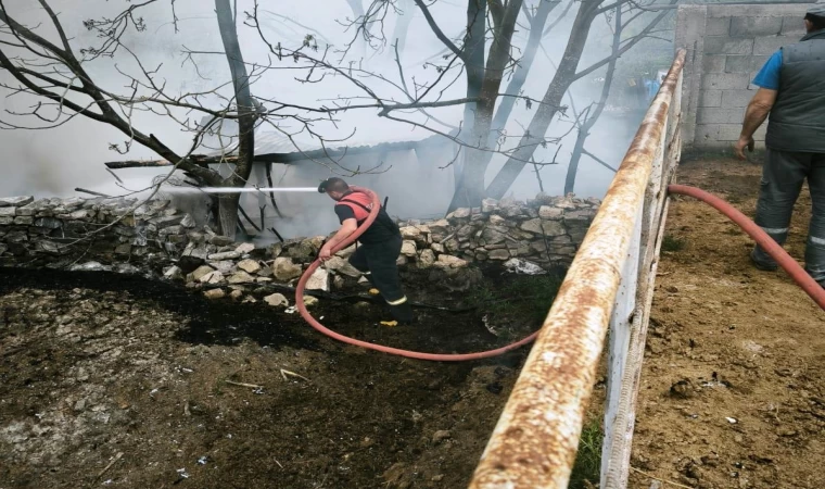 Domaniç’te çıkan yangında 100 tavuk telef oldu