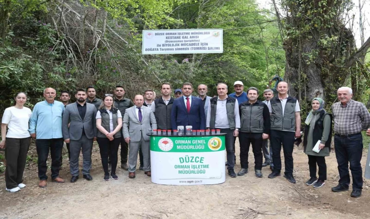 Düzce 80 bin adet böcek salınacak