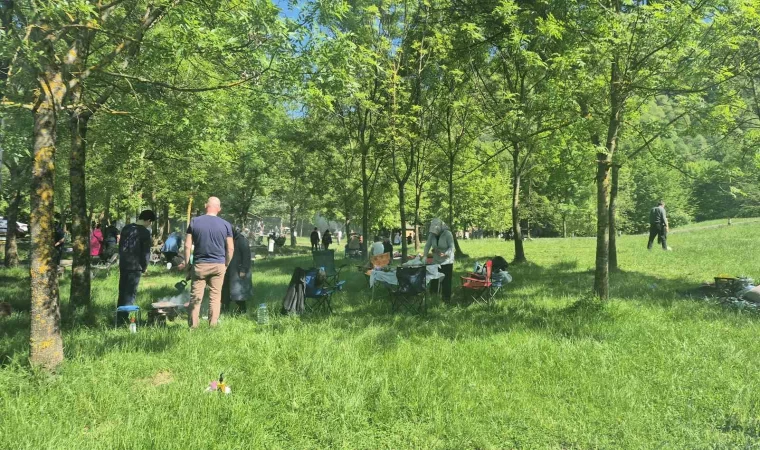 Düzce’de güneşi görenler soluğu mesire alanlarında aldı