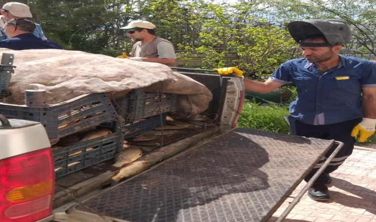 Elazığ’da kaçak avlanan 700 kilogram balık ele geçirildi