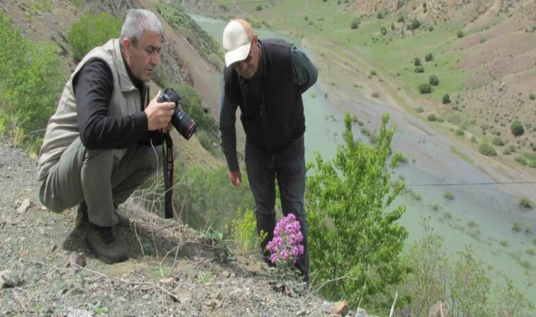 Elazığ’da Ulusal Biyolojik Çeşitlilik ve Envanter İzleme Projesi çalışması