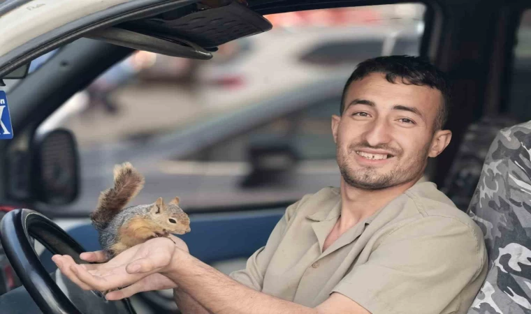 Eliyle beslediği sincap, peşini bırakmadı