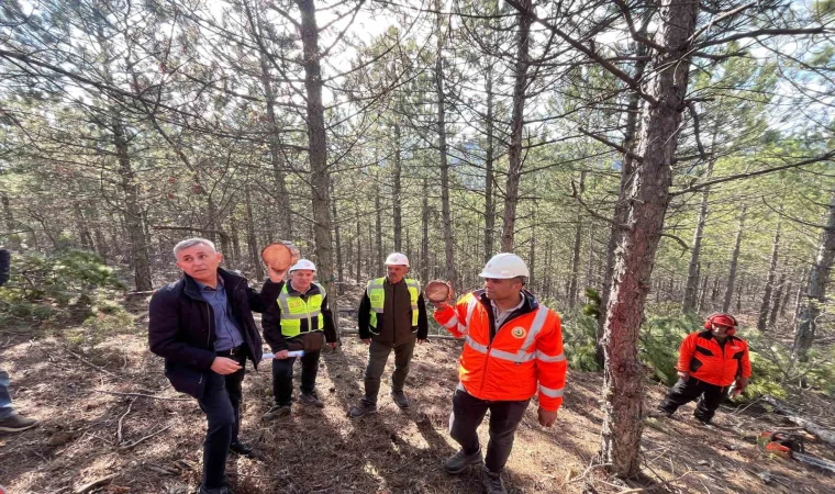 Emet Orman İşletme Müdürlüğü’nde silvikültür ve işletme pazarlama eğitimi