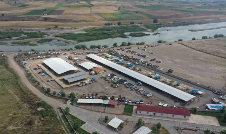 Erbaa hayvan pazarı 5 Mayıs’ta yeniden açılıyor