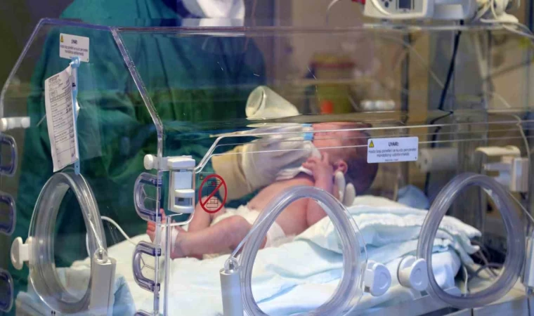 Erzincan’da canlı doğan bebek sayısı 2024 yılında 2 bin 368 oldu