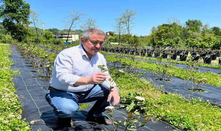 Eski başkanın ”şifa bahçesi”: Siyasi yorgunluğu tıbbi aromatik bitkilerle atıyor