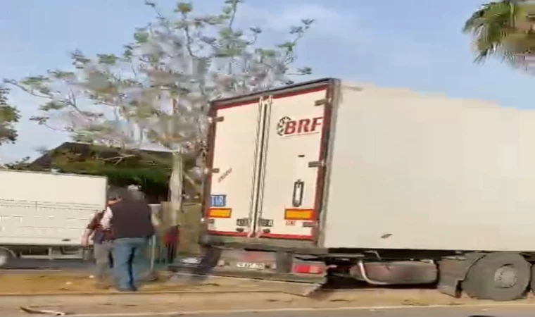 Gazipaşa’da sebze yüklü tır refüjdeki palmiye ağacına çarptı: 1 yaralı