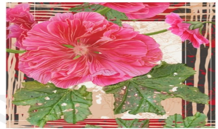 Gediz’in Yağmurlar köyü, sanat ve bilime ilham kaynağı oldu