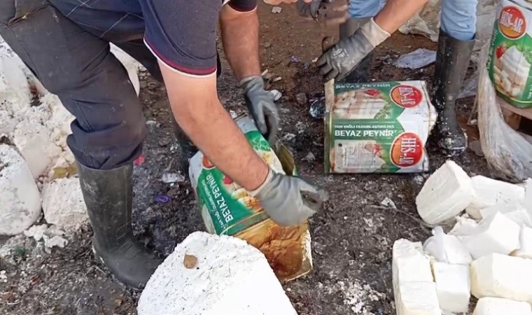 Gıda teröristleri tonlarca bozuk peyniri vatandaşa yedirecekti