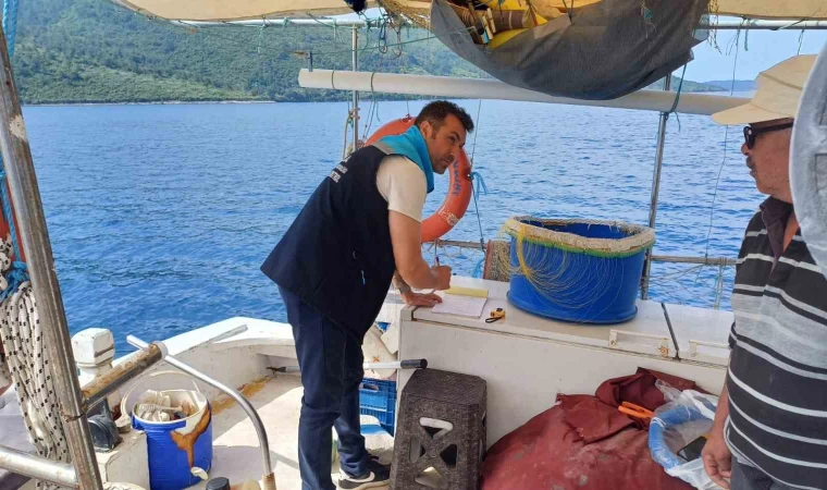 Gökova Körfezi’nde yasak av araçlarına el konuldu