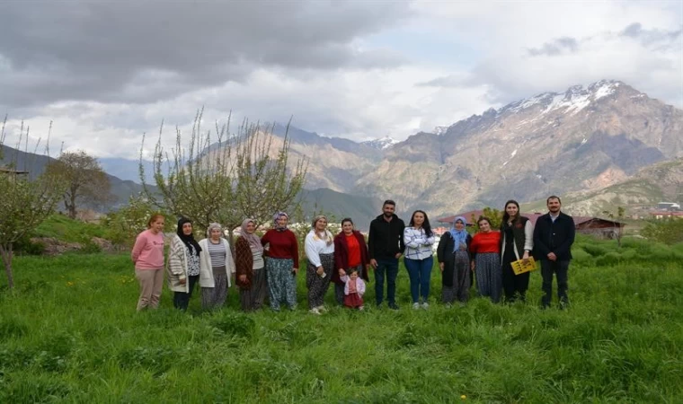 Hakkari’de kadın üreticilere safran yetiştiriciliği eğitimi