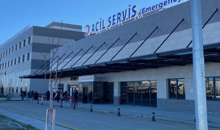 Havyan otlatma kavgası kanlı bitti: 1 yaralı