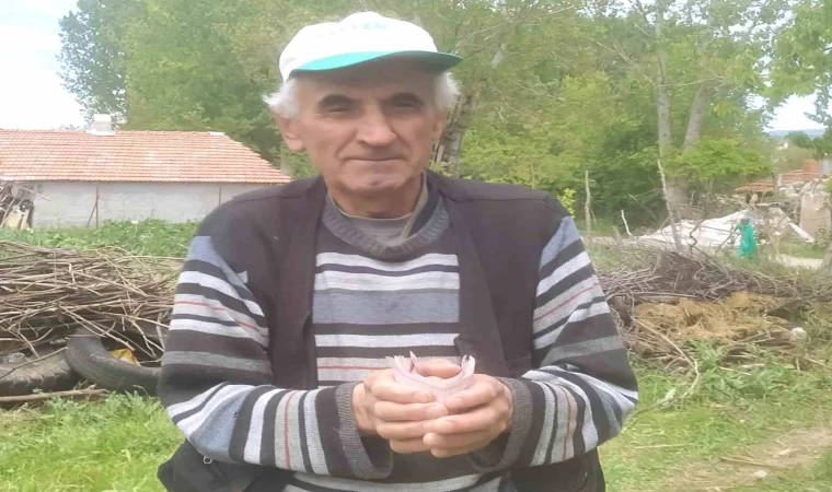 Hisarcık’ta emekli işçiden ”İnsanlık Ölmemiş” dedirten davranış: Bulduğu bir tomar parayı jandarmaya teslim etti