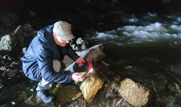 İnci kefalinin gece yolculuğu başladı
