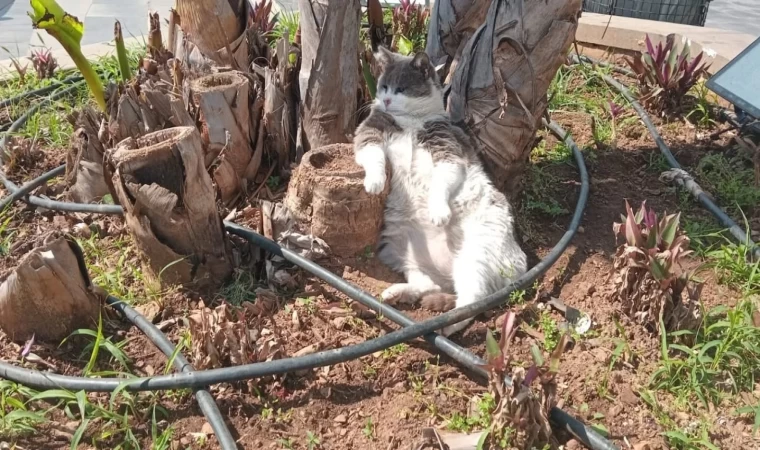 İşçiler çalıştı, o keyfini bozmadı