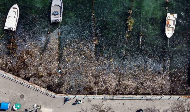 İstanbul Boğazı’ndaki kirlilik havadan görüntülendi