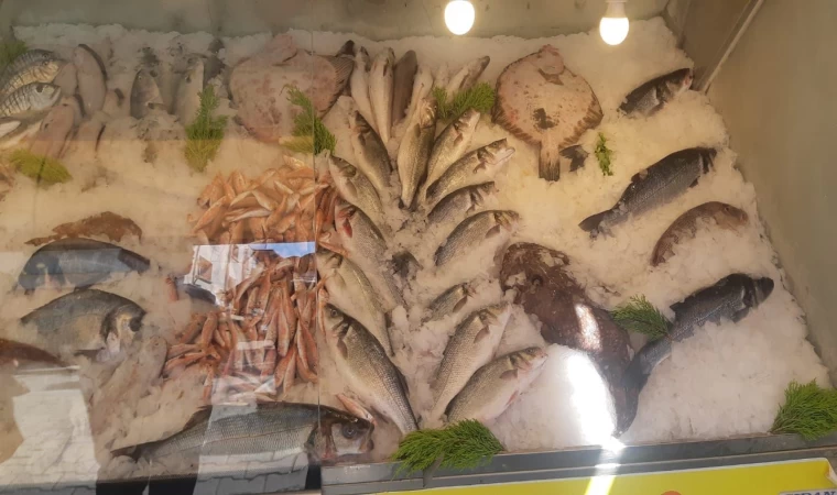 İzmir’de su ürünleri denetimlerinde ceza yağdı