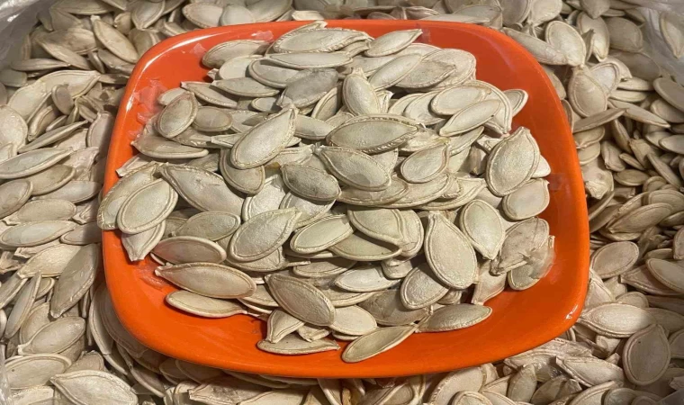 Kabak çekirdeğine ”Salmonella”, zencefile ”Bacillus cereus” nasıl bulaşıyor