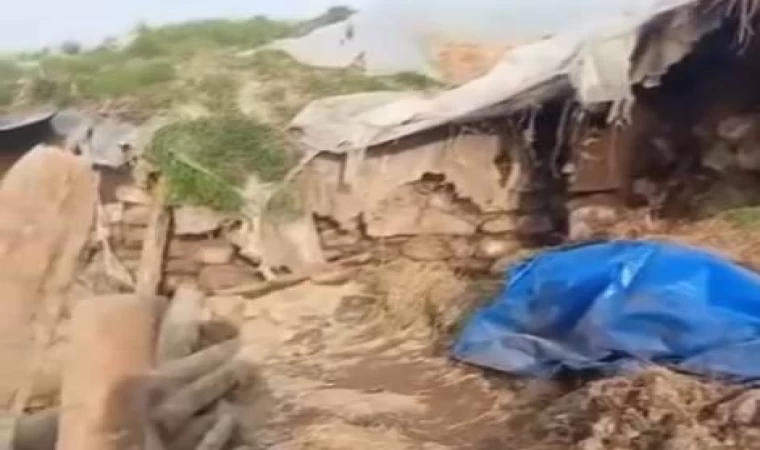 Kars’ta ahır çöktü: Büyükbaş hayvanlar telef oldu