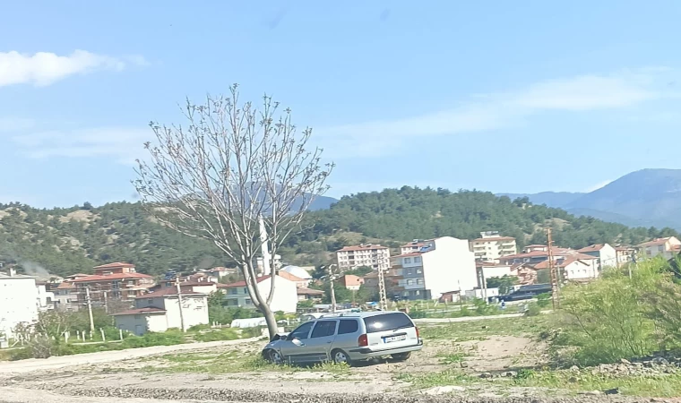 Kastamonu’da otomobil ağaca çarptı: 2 yaralı