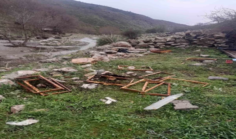 Kayseri’de ayılar arı kovanlarına saldırdı