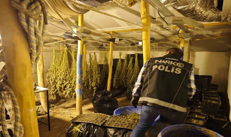 Kenevir yetiştirilen gizli seraya polis baskını: 1 tutuklama