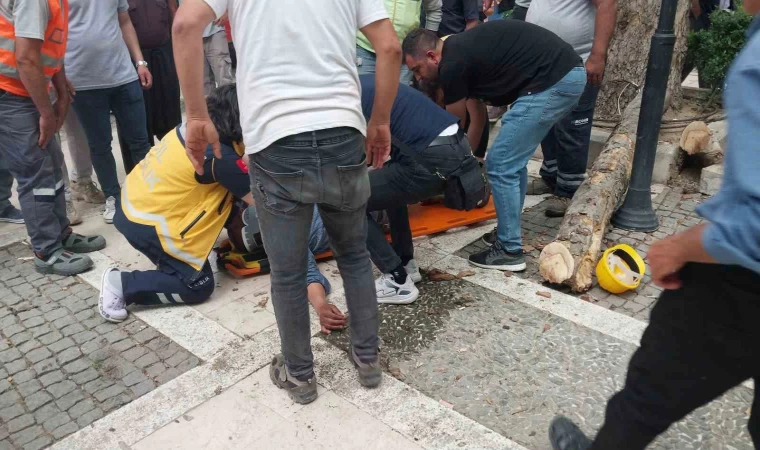 Kestiği dalı ayağıyla iterken düşen işçi ağır yaralandı