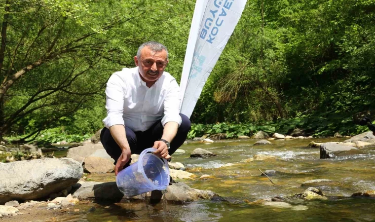 Kirazdere’ye 8 bin alabalık bırakıldı