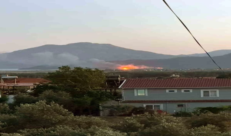 Köyceğiz’de sazlık alanda yangın çıktı
