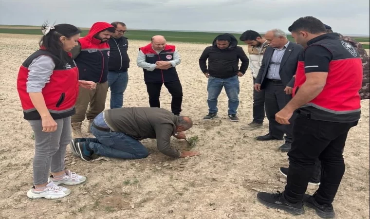 Kulu’da tarım alanlarında kontroller devam ediyor