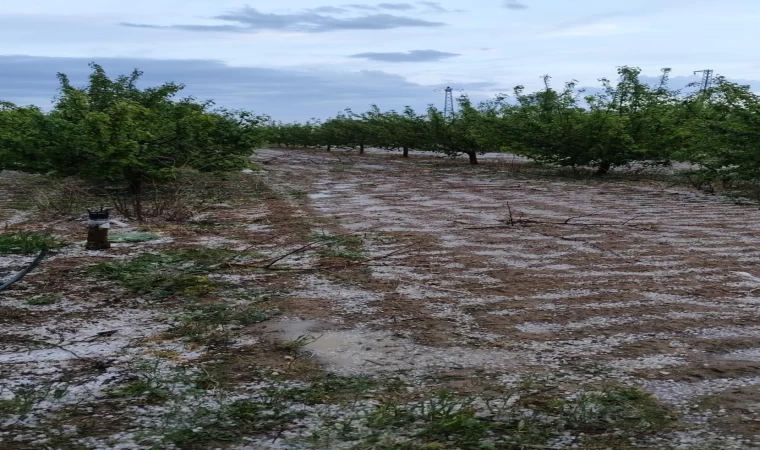 Kurak ilçeye düşen yağmur çiftçiye umut oldu