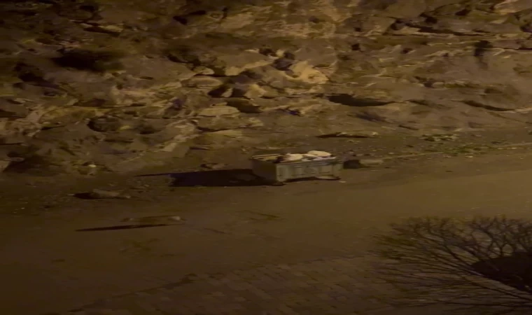 Kurt sürüsü ilçe merkezine indi