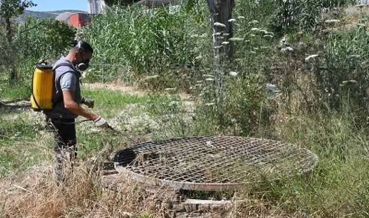 Kuşadası Belediyesi halk sağlığı için vektörel mücadelesini sürdürüyor