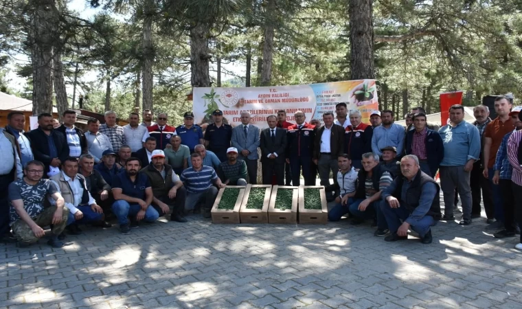 Kuyucak’ta 220 bin domates fidesi dağıtıldı