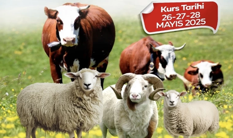 Malatya Büyükşehir Belediyesi’nden kurban kesim kursu