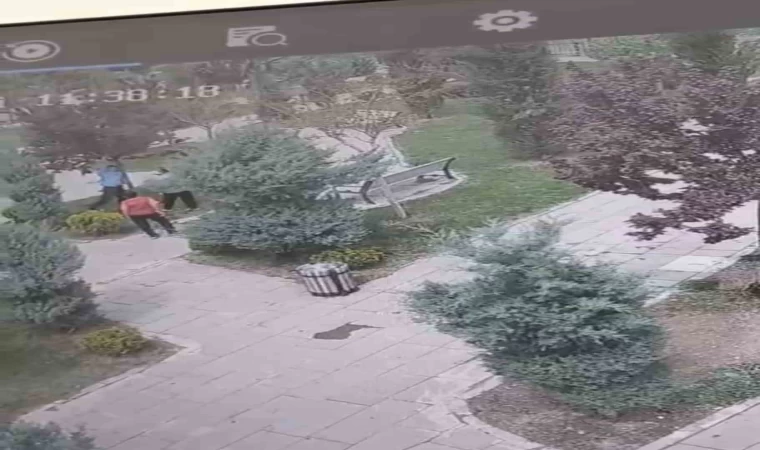 Mardin’de ağaçlara zarar veren bir grup genç, güvenlik kameralarına yakalandı